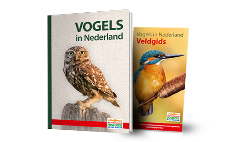 Vogels in nederland